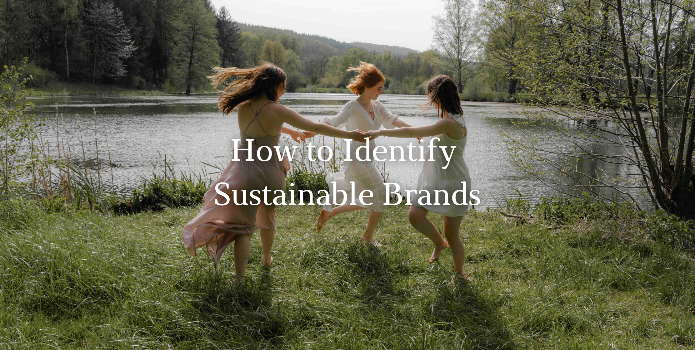 How To Identify Sustainable Brand? image