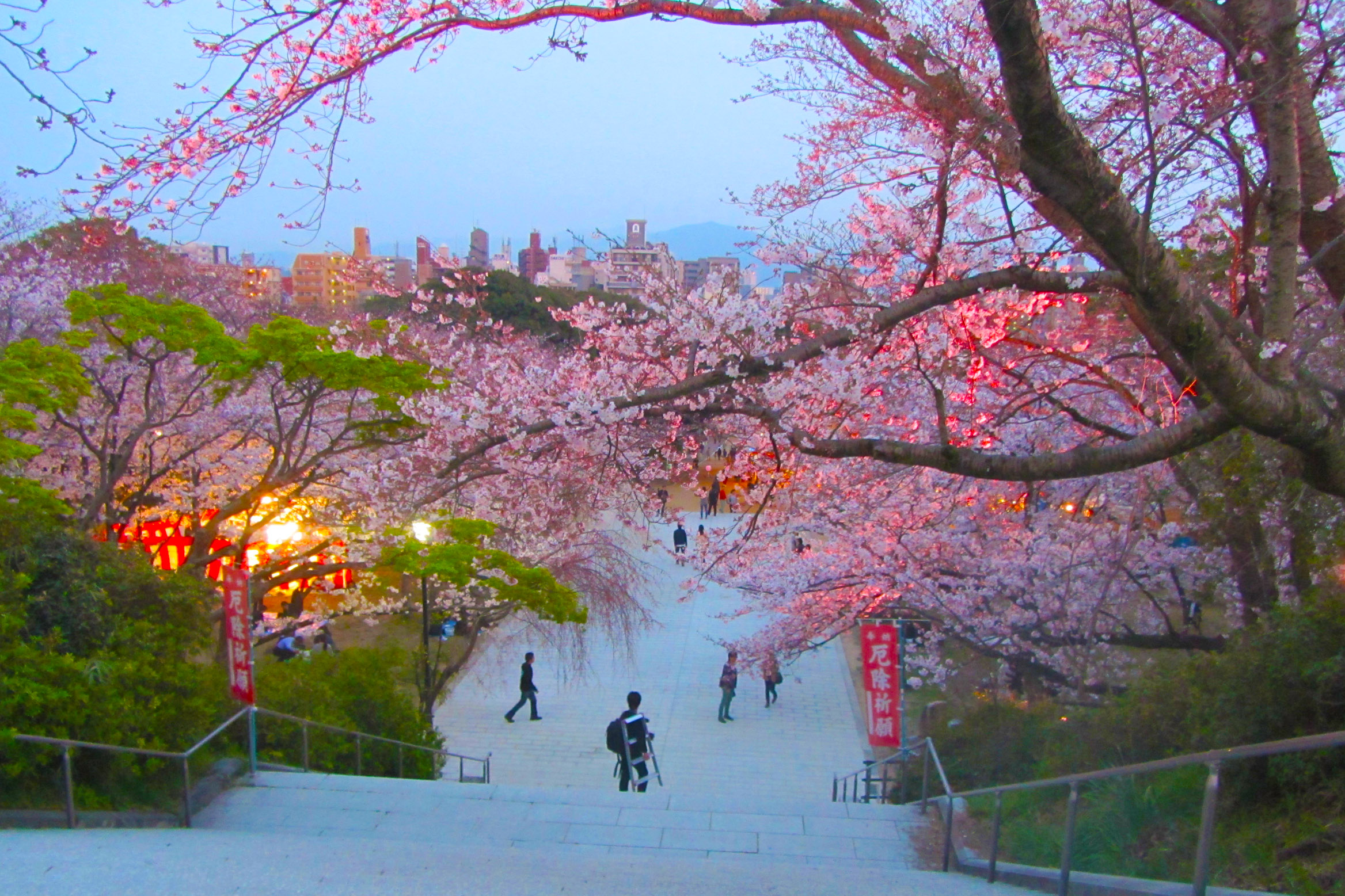 7 Tempat Terindah Melihat Bunga Sakura di Jepang