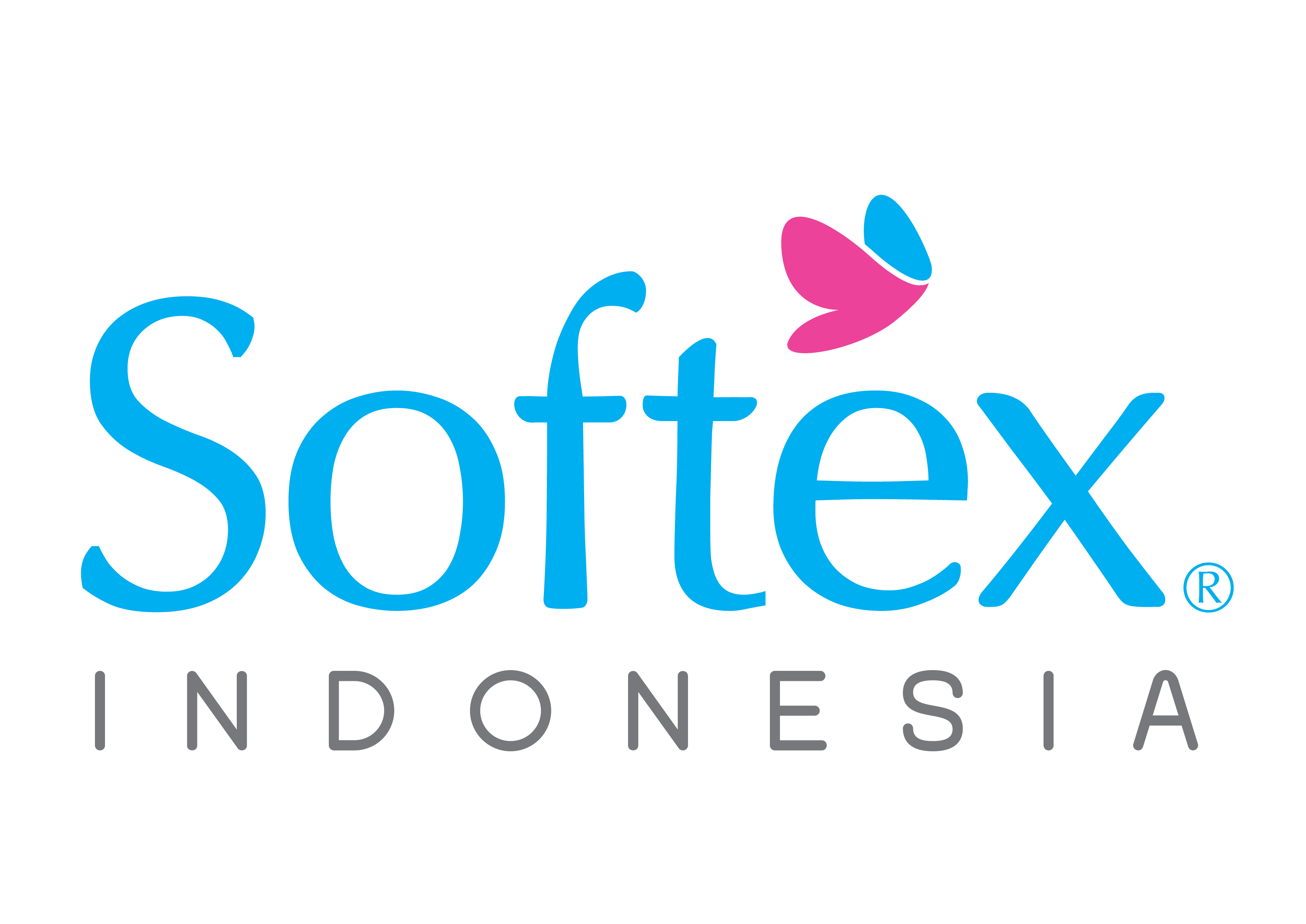eStore Softex Indonesia